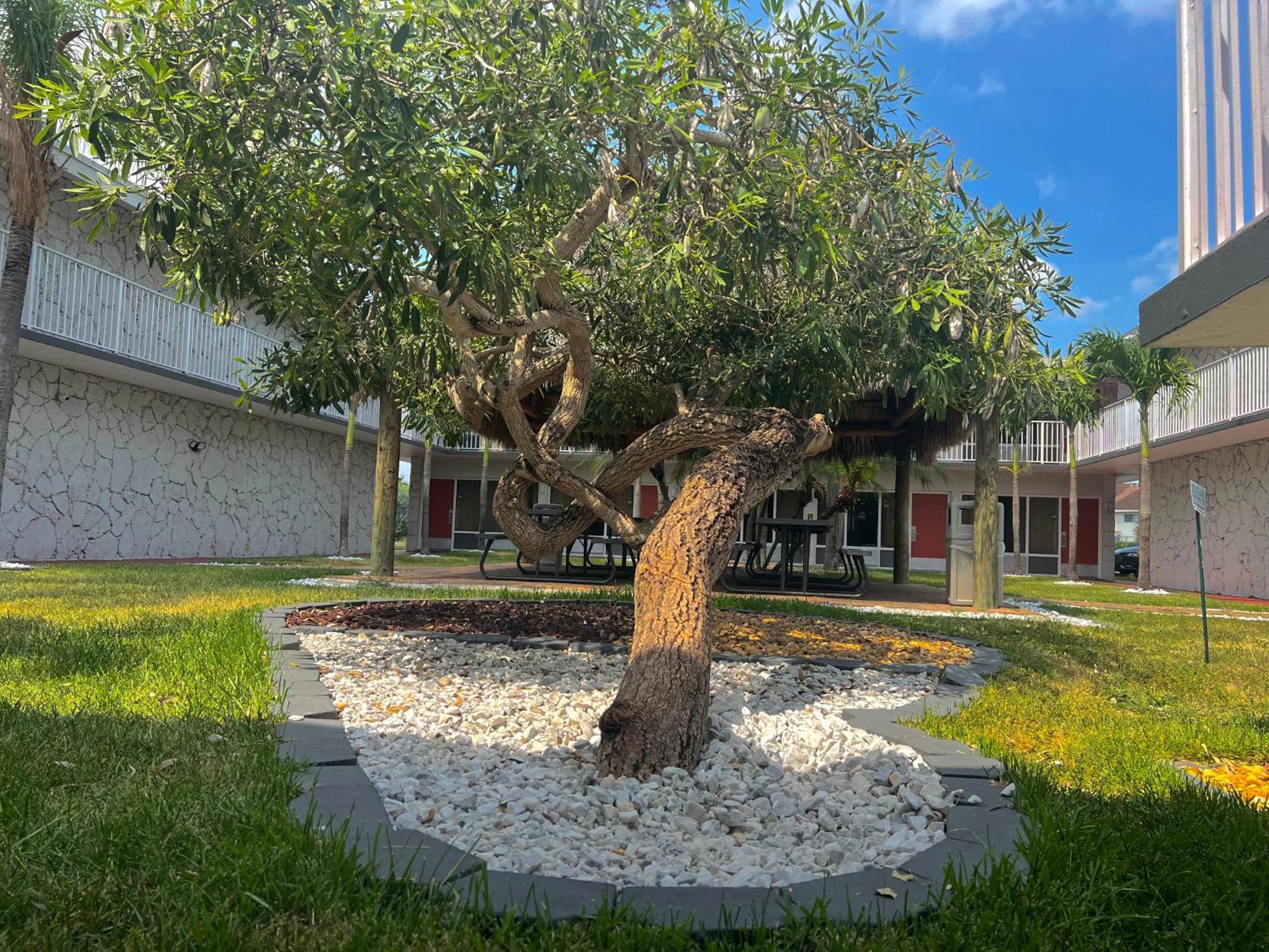 Garden Inn Homestead/Everglades/Gateway To Keys Exterior photo